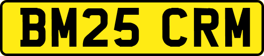 BM25CRM