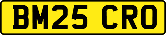 BM25CRO