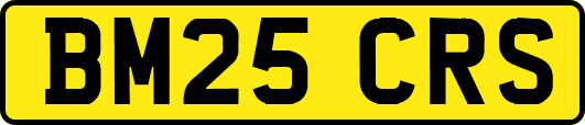BM25CRS