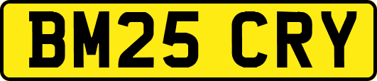 BM25CRY