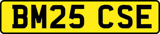 BM25CSE