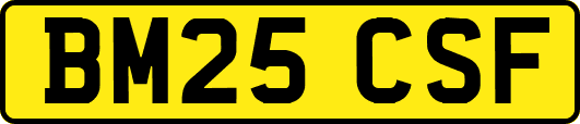 BM25CSF