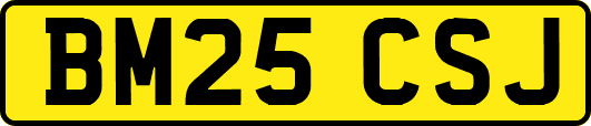 BM25CSJ