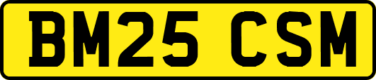 BM25CSM