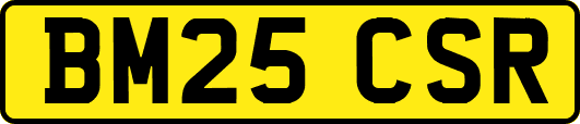 BM25CSR