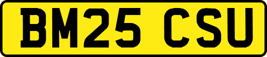 BM25CSU