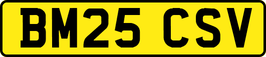 BM25CSV