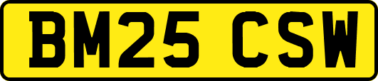 BM25CSW