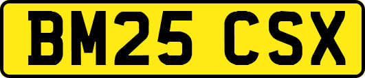 BM25CSX