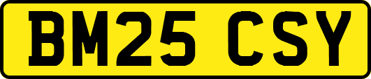 BM25CSY