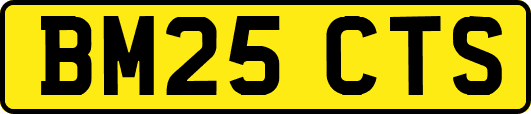 BM25CTS