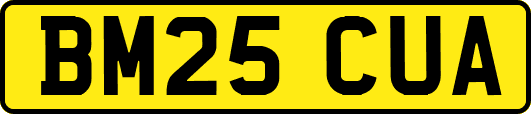 BM25CUA