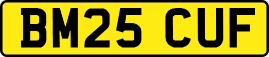 BM25CUF