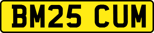 BM25CUM