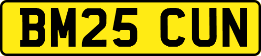 BM25CUN