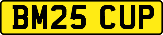 BM25CUP