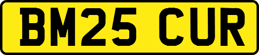 BM25CUR