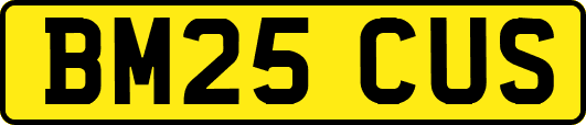 BM25CUS
