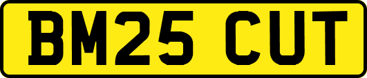 BM25CUT