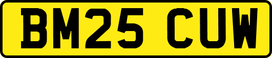 BM25CUW
