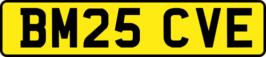BM25CVE