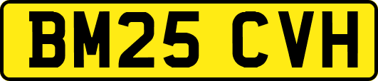 BM25CVH