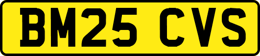 BM25CVS