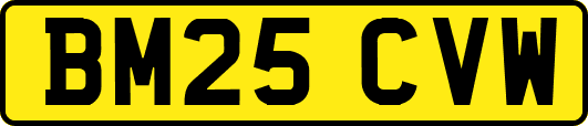 BM25CVW