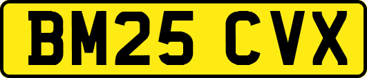 BM25CVX