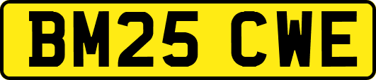 BM25CWE