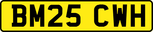 BM25CWH