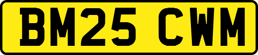 BM25CWM