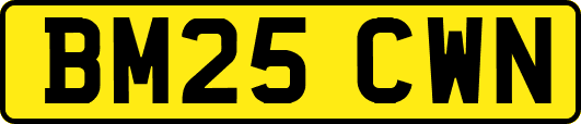 BM25CWN