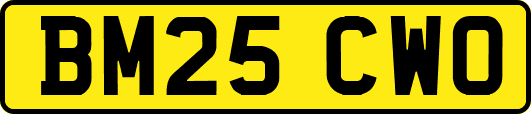 BM25CWO