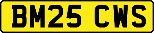 BM25CWS
