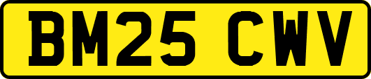 BM25CWV
