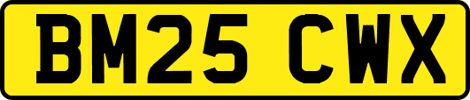 BM25CWX