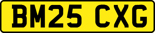 BM25CXG