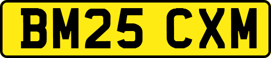 BM25CXM
