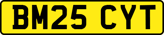 BM25CYT