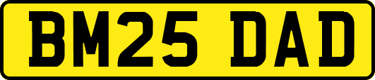 BM25DAD
