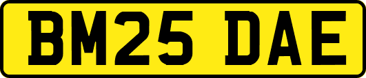 BM25DAE
