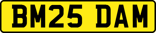 BM25DAM