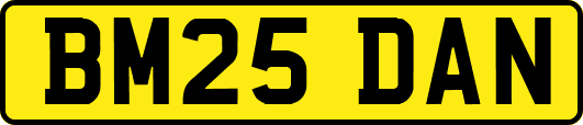BM25DAN