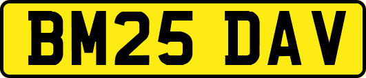 BM25DAV