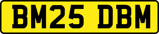 BM25DBM