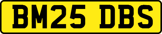 BM25DBS