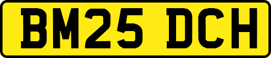 BM25DCH