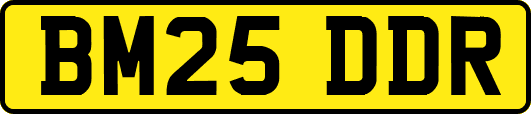 BM25DDR