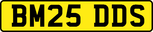 BM25DDS